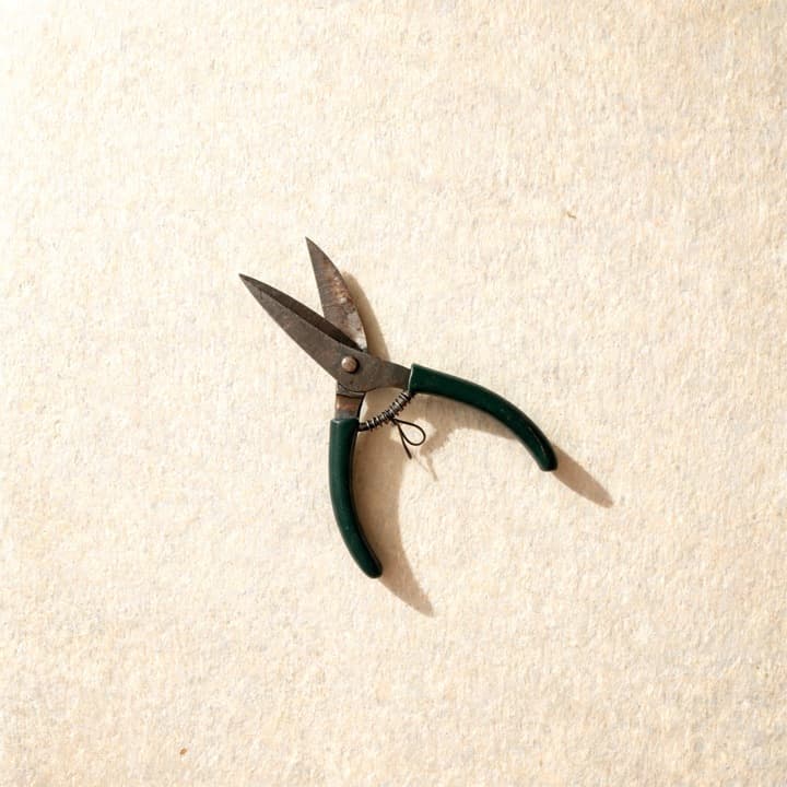 A well-used pair of florist's shears, photographed on bone-coloured paper.